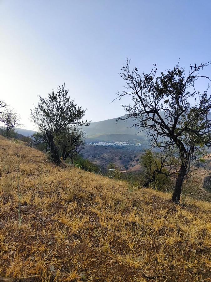 Cortijo Vacas Gordas B&B Кастель-де-Ферро Экстерьер фото